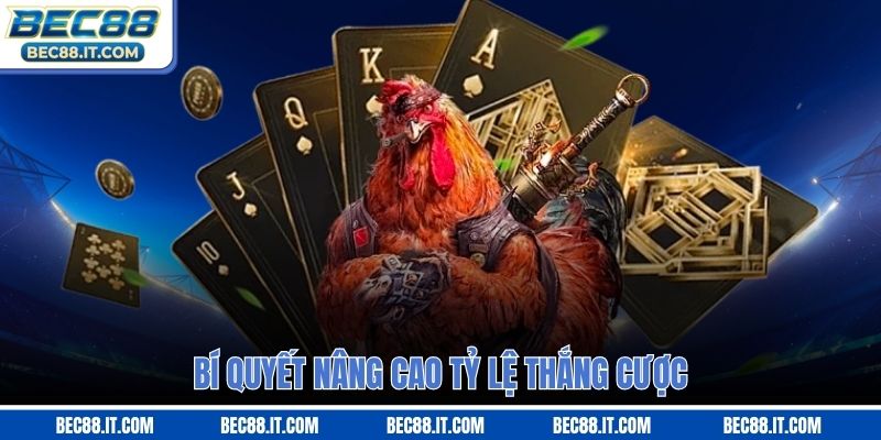 Bí quyết nâng cao tỷ lệ thắng cược