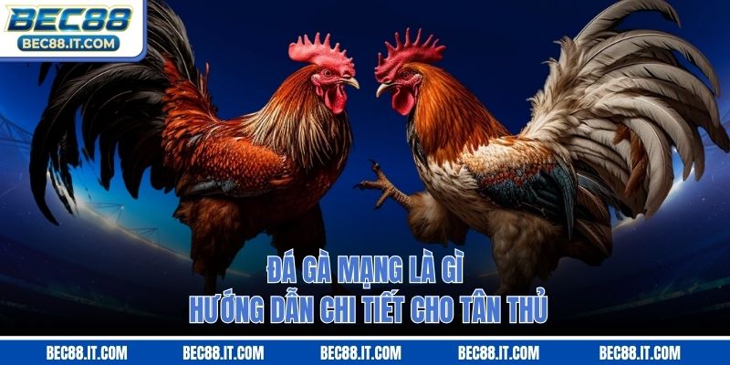 Đá Gà Mạng Là Gì