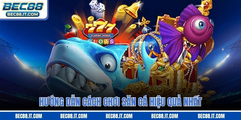 Hướng dẫn cách chơi săn cá hiệu quả nhất