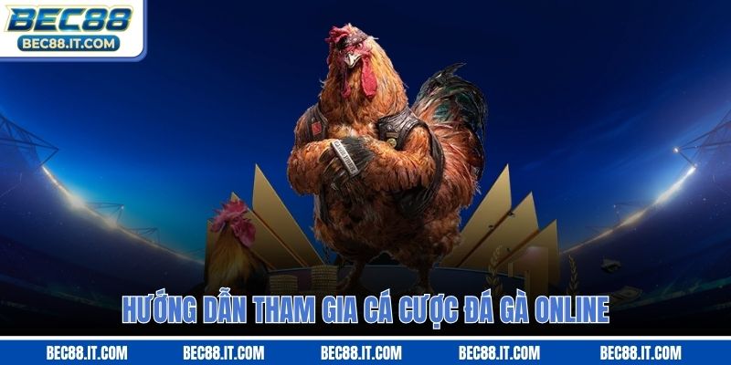 Hướng dẫn tham gia cá cược đá gà online