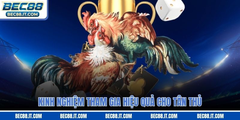 Kinh nghiệm tham gia hiệu quả cho tân thủ