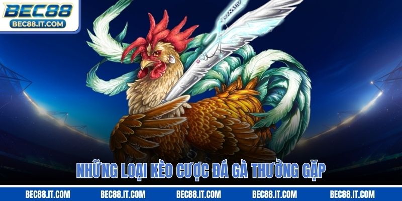 Những loại kèo cược đá gà thường gặp