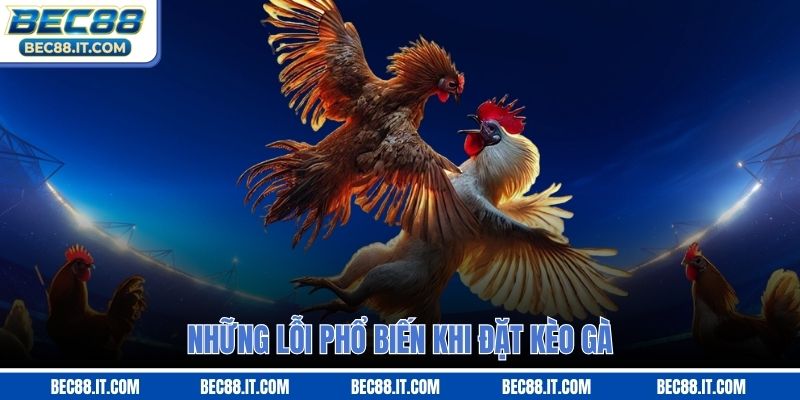 Những lỗi phổ biến khi đặt kèo gà